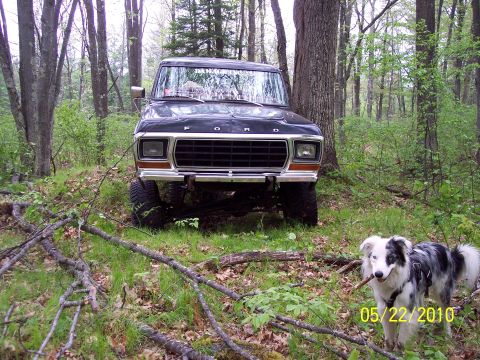 1979 Ford Bronco - A black 1979 Ford Bronco is seen in a wooded area, accompanied by a dog holding a stick.