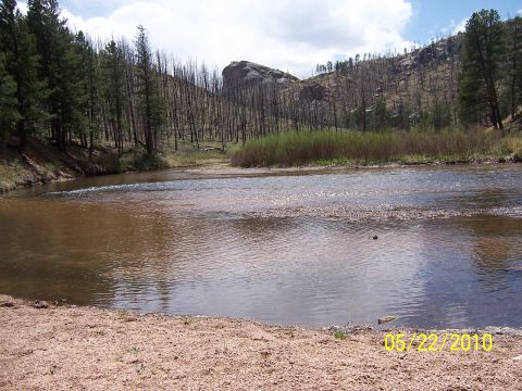 1994 Ford Bronco - A scenic view of a river winding through a forest with evidence of a past wildfire.