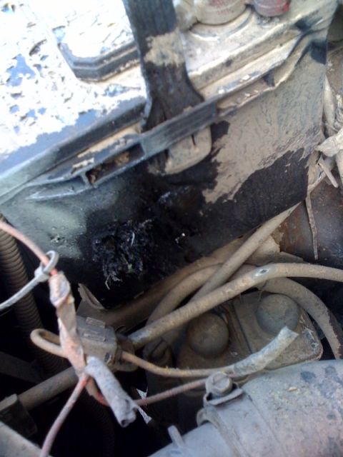 1995 Ford Bronco - Engine bay wiring and battery terminal detail.