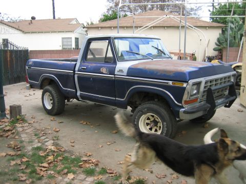 1979 Ford F-150 - A blue and silver pickup truck with a rusty hood is parked in a driveway. Two dogs are running in the foreground.
