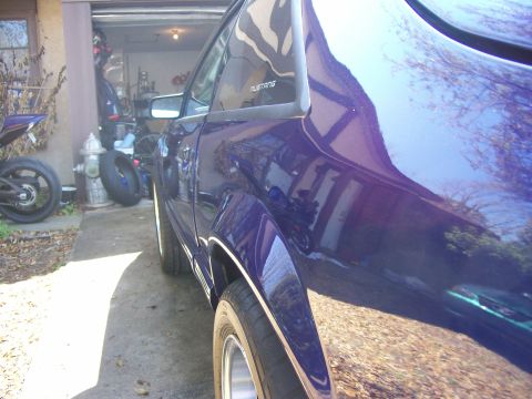 1991 Ford Mustang - Side view of a purple 1991 Ford Mustang, with the 'Mustang' badge clearly visible on the rear quarter window.