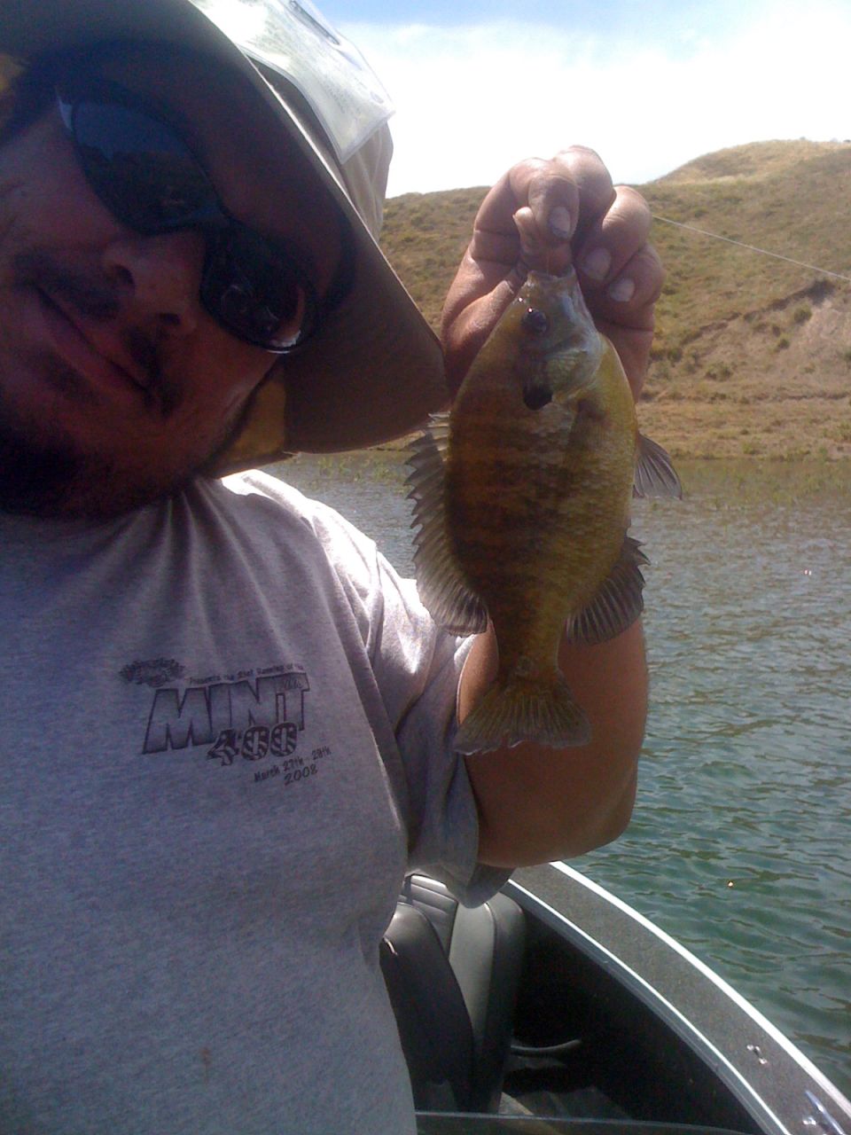 Man in hat and sunglasses holds a bluegill fish while on a boat
