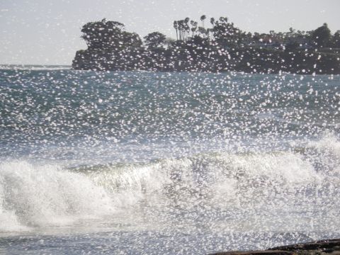 1991 Ford Bronco - Waves crash on the shore with a distant coastline visible through sea spray.