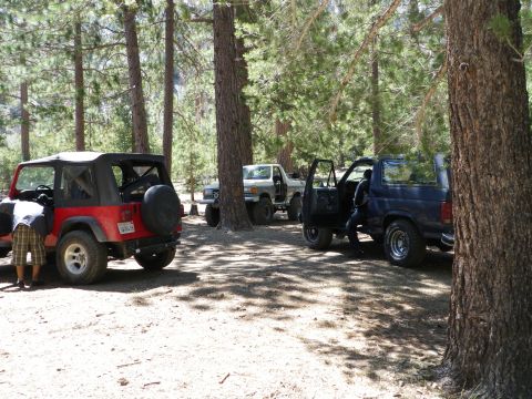1991 Ford Bronco - A group of off-road vehicles are parked amongst trees in a sun-dappled forest.