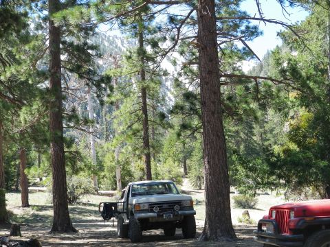 1991 Ford Bronco - Two off-road vehicles, a Ford pickup and a Jeep, are parked in a wooded area with mountains in the background.