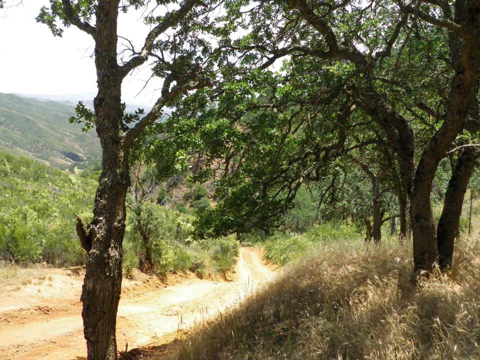 Dirt road winding through a wooded hillside with dry grass in the foreground. Watermark reads SUPERMOTORS.NET