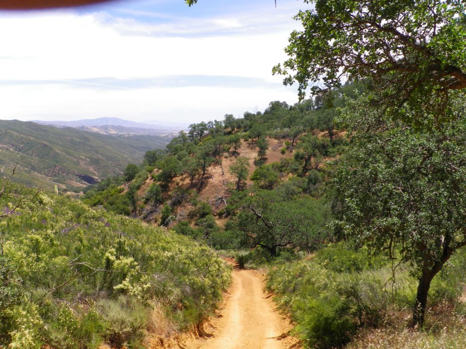 Dirt road winding through a dry, green landscape with scattered trees and distant hills under a hazy sky