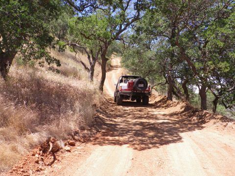 1991 Ford Bronco - A red 1991 Ford Bronco navigates a dusty, tree-lined dirt road, its rear profile and spare tire.