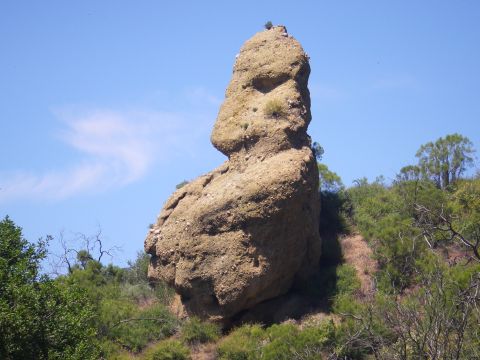 1991 Ford Bronco - A peculiar rock formation stands tall against a clear blue sky, surrounded by lush green vegetation.