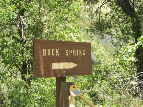 1991 Ford Bronco - A wooden sign indicates the direction to Buck Spring amidst lush greenery.