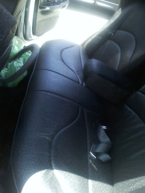 all ostrich full wrap interior