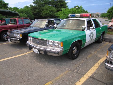 1991 Ford LTD Crown Victoria - green-and-white Ford LTD Crown Victoria sheriff cruiser with star emblem parked in a striped lot beside other police cars.