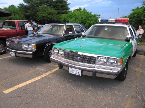 1991 Ford LTD Crown Victoria - green-and-white Ford LTD Crown Victoria police car parked beside a dark unmarked cruiser at an outdoor police-car show.