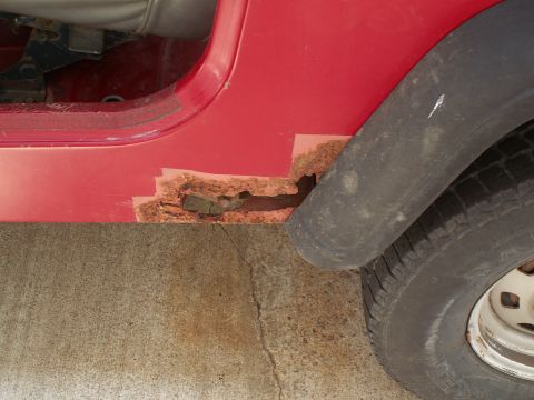 1988 Jeep YJ - Significant rust damage is visible on the lower body panel of the vehicle.