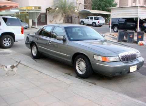 2001 Mercury Grand Marquis - A gray 2001 Mercury Grand Marquis is parked on a street with other vehicles and a cat nearby.