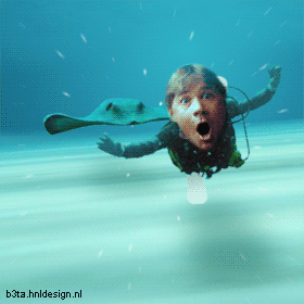 1979 Ford F-150 - Underwater scene shows a diver and a stingray swimming together.