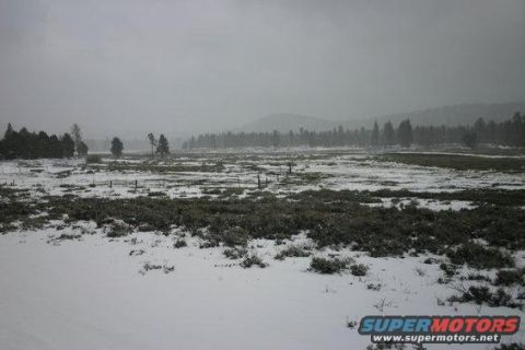 1991 Ford Bronco - A winter scene unfolds across a snow-covered field, dotted with low-lying vegetation and distant trees.