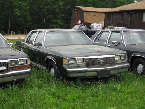 1991 Ford LTD Crown Victoria - Front view of a 1991 Ford Crown Victoria LTD parked in tall grass.