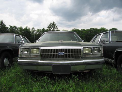 1991 Ford LTD Crown Victoria - This Ford Crown Victoria, likely from the early 1980s, is parked in a grassy area with other vehicles.