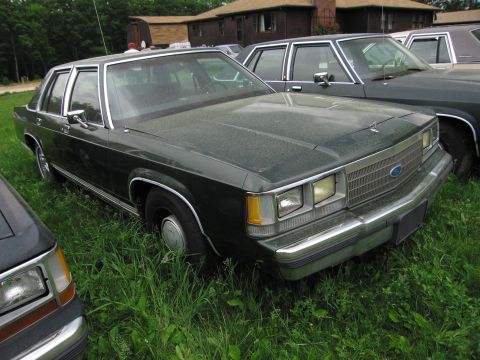 1991 Ford LTD Crown Victoria - Sedan with a prominent grille and chrome bumper sits in overgrown grass, partially obscured by another vehicle.