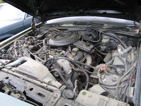 1991 Ford LTD Crown Victoria - The engine bay of a vehicle, showing various components including the fan and alternator. Text on the fan shroud reads 'CAUTION FAN'.