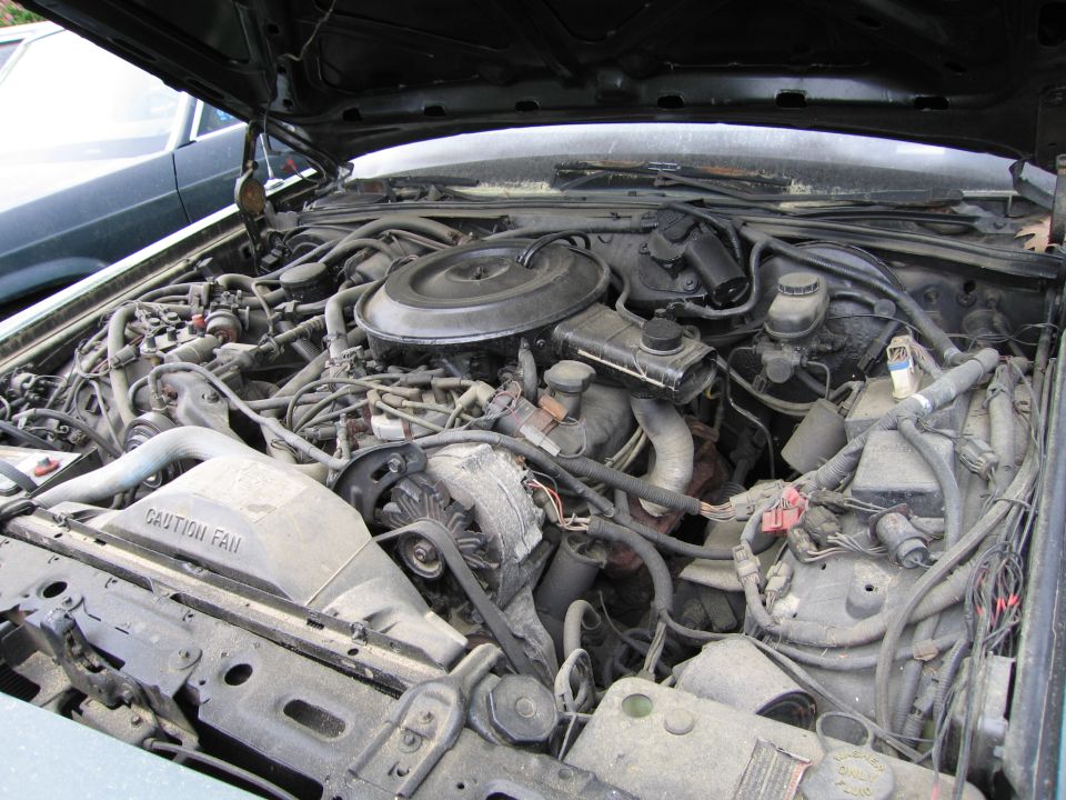 Engine bay with visible fan and alternator. Text 'CAUTION FAN' visible