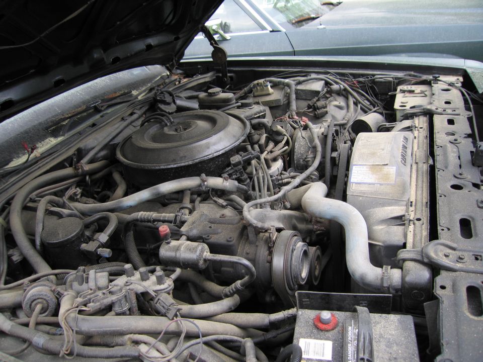 Engine bay with hoses, wires, and engine components visible