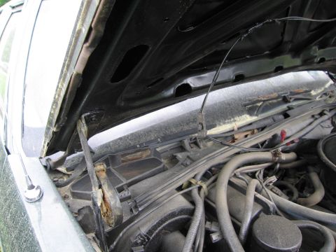 1991 Ford LTD Crown Victoria - The engine bay of a 1991 Ford Crown Victoria LTD reveals its internal components and wiring.