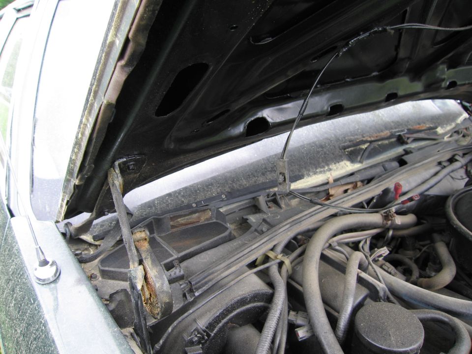 Engine bay of a 1991 Ford Crown Victoria LTD, showing the underside of the hood, wiring, and engine components