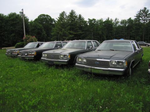 1991 Ford LTD Crown Victoria - Several dark sedans, appearing to be 1991 Ford Crown Victoria LTDs, are parked in a grassy area with trees in the background.