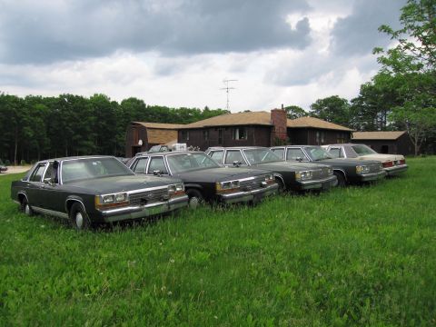 1991 Ford LTD Crown Victoria - A row of 1991 Ford Crown Victoria LTD sedans are parked in the grass.