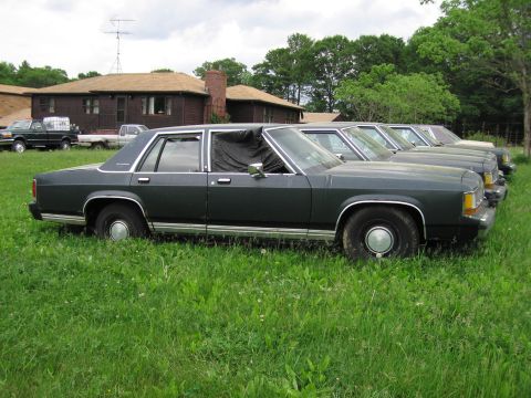 1991 Ford LTD Crown Victoria - Dark green Ford LTD Crown Victoria four-door sedan sitting in tall grass with a tarp stuffed through the open rear door window, photographe…