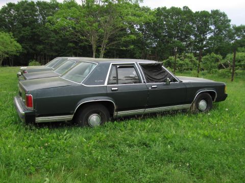 1991 Ford LTD Crown Victoria - A dark green Ford LTD Crown Victoria four-door sedan shown in side profile, parked in tall grass with a dark cover or tarp draped over the…