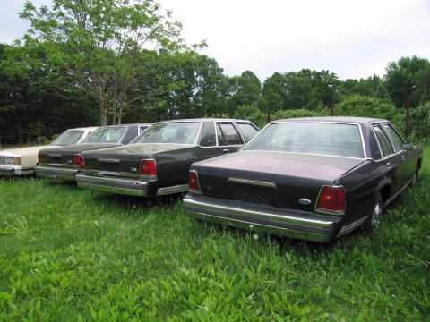 1991 Ford LTD Crown Victoria - Several older model sedans are parked in a field with trees in the background.