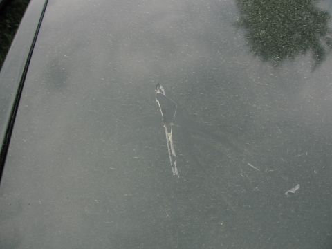 1991 Ford LTD Crown Victoria - Close-up of damaged paint on a vehicle's hood, revealing underlying material.