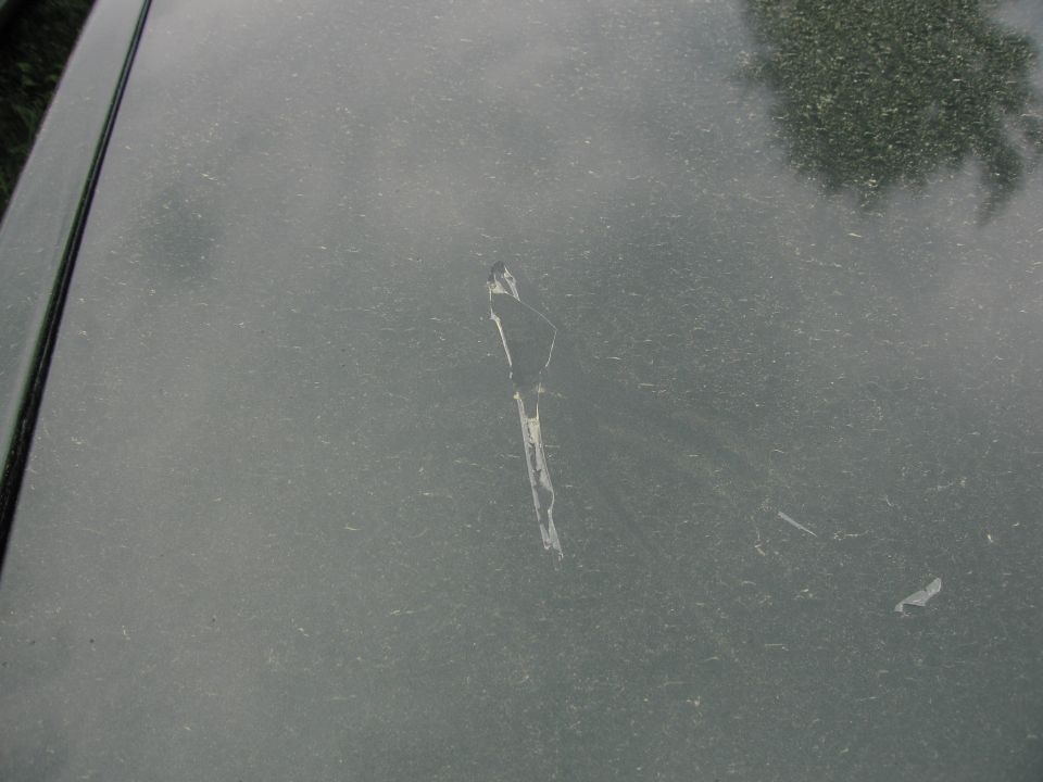 Paint chipped off on dark colored car hood, showing primer underneath