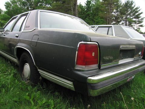 1991 Ford LTD Crown Victoria - Rear view of a dark sedan, parked outdoors in a grassy area with another vehicle behind it.