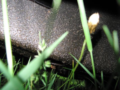 1991 Ford LTD Crown Victoria - A close-up view of a vehicle's textured undercarriage is partially obscured by blades of grass.