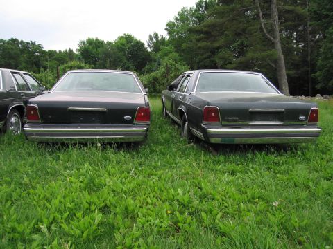 1991 Ford LTD Crown Victoria - Two Ford Crown Victorias are parked in a grassy area, viewed from the rear.