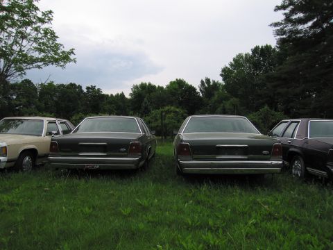 1991 Ford LTD Crown Victoria - Four sedans, including a 1991 Ford Crown Victoria LTD, are parked in a grassy area with trees in the background.