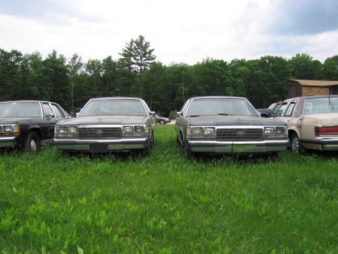 1991 Ford LTD Crown Victoria - Two Ford Crown Victorias from the 1980s are parked in a grassy area with trees in the background.