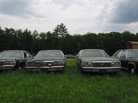 1991 Ford LTD Crown Victoria - Several Ford Crown Victorias are parked in a field with trees in the background under a cloudy sky.