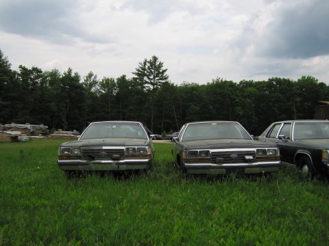 1991 Ford LTD Crown Victoria - Two dark Ford Crown Victorias are parked in a grassy field with trees in the background.