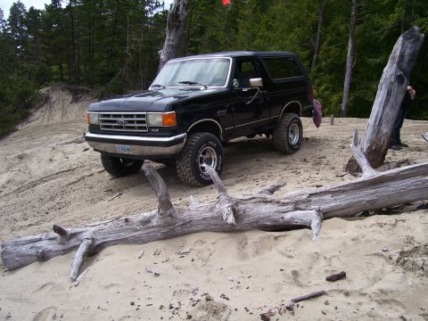 1991 Ford Bronco - This black Ford Bronco is parked on a sandy terrain, with trees and driftwood surrounding it.