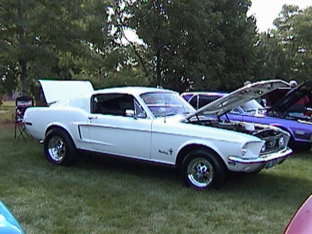White Ford Mustang fastback with hood raised at an outdoor car show, front three-quarter view
