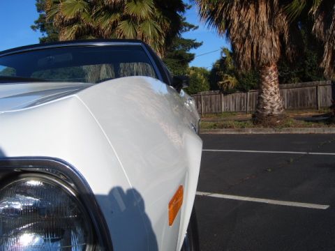 1973 Ford Ranchero - A white car is parked outside with palm trees and a wooden fence in the background.