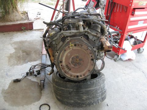 1969 Ford F-250 - Engine assembly on an engine stand, supported by a tire, with a red toolbox in the background.