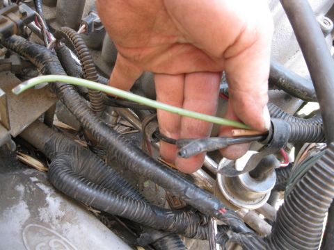 1969 Ford F-250 - Close-up of a vehicle's engine wiring harness, with a hand manipulating a green wire.