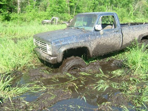 1978 Chevrolet C/K Pickup - Muddy 1978 Chevrolet C/K Pickup truck stuck in a field, with another truck visible in the distance.