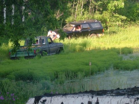 1978 Chevrolet C/K Pickup - Two vehicles are partially submerged in tall grass and mud, with people visible inside.